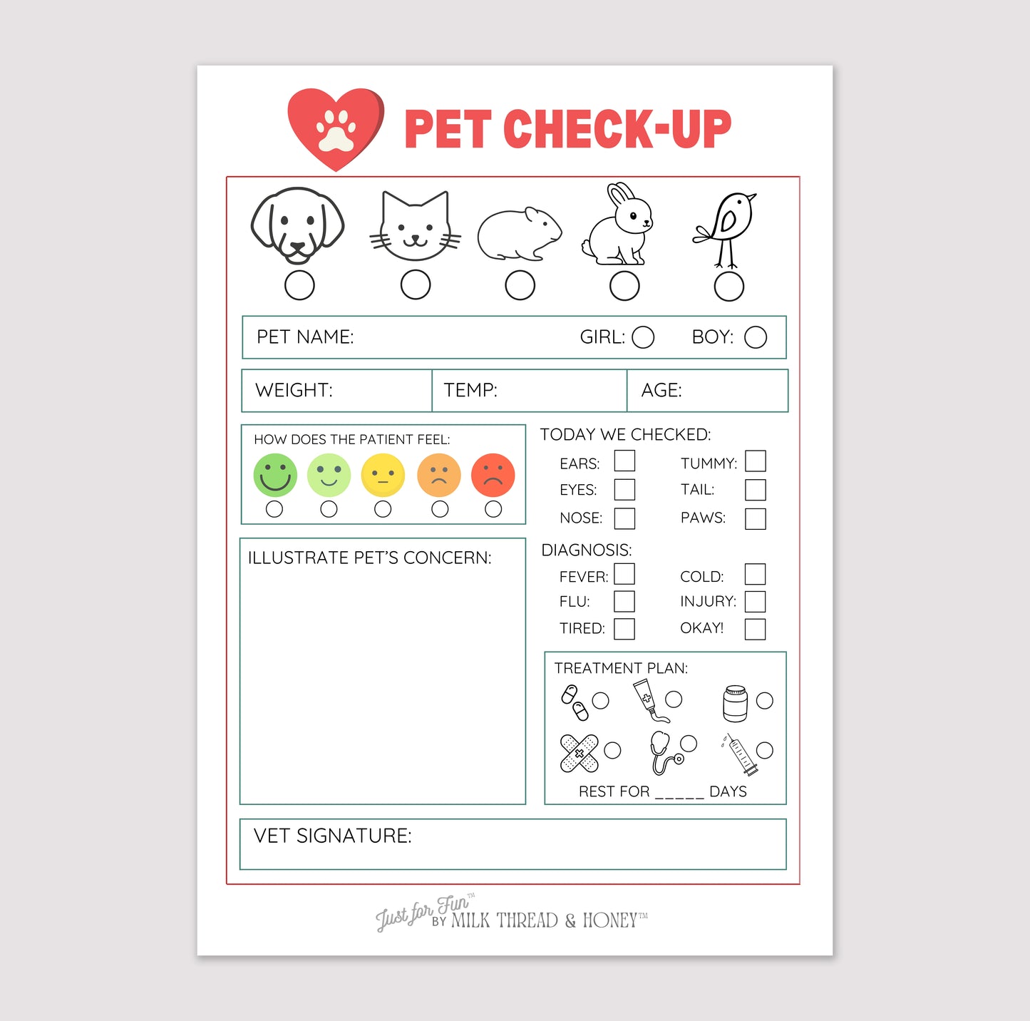 Pretend Play Veterinarian Pet Check-up Notepad